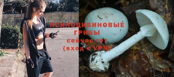 спиды Абаза