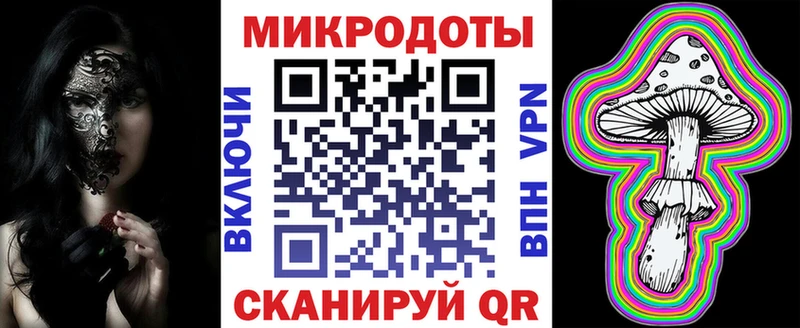 где найти   Саранск  Галлюциногенные грибы Psilocybe 